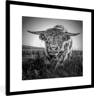 Produktbild von MuchoWow® MuchoWow® Gerahmtes Poster Schottisches Hochlandrind - Schwarz und Weiß 40x40 cm - Poster mit zchwarzem Bilderrahmen - Poster - Plakat im Rahmen