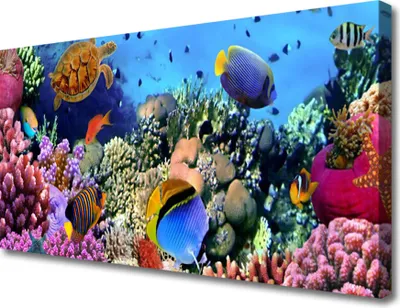 Produktbild von Tulup Leinwand-Bilder 100x50 Wandbild Canvas Kunstdruck Korallenriff Natur