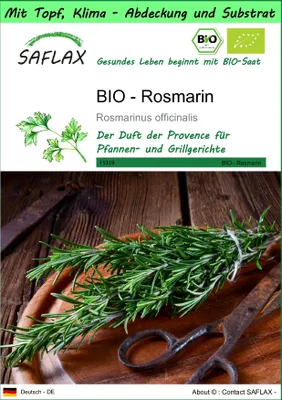 Produktbild von SAFLAX Garden to go - BIO - Rosmarin - Rosmarinus officinalis - 40 Samen - Mit Topf, Klima - Deckel und Anzuchtsubstrat