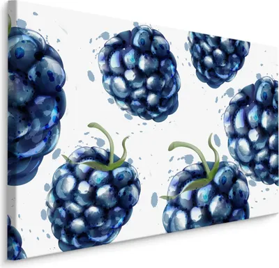 Produktbild von Fabelhafte Canvas LEINWAND BILDER 70x50 cm XXL Kunstdruck Obst Brombeeren Aquarell