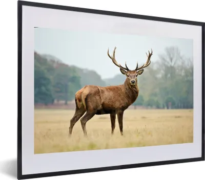 Produktbild von MuchoWow® MuchoWow® Gerahmtes Poster Hirsche - Tiere - Geweihe 60x40 cm - Poster mit zchwarzem Bilderrahmen - Schlafzimmer - Plakat in Rahmen - Drucken