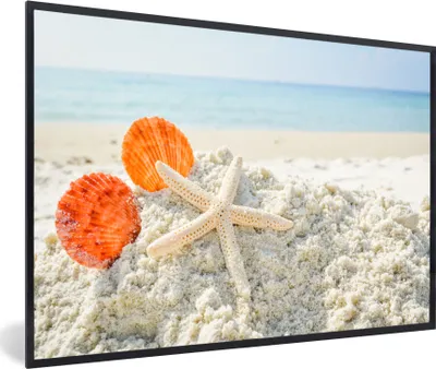 Produktbild von MuchoWow® MuchoWow® Gerahmtes Poster Muscheln - Seesterne - Sand 60x40 cm - Poster mit zchwarzem Bilderrahmen - Printing - Wanddeko Schlafzimmer