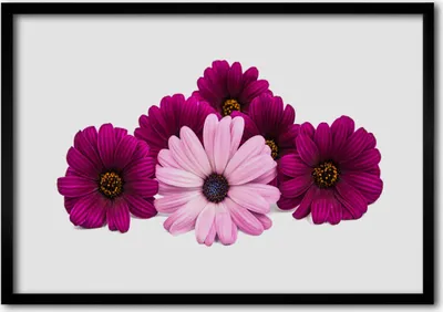 Produktbild von Bild 70x50 MDF-Rahmen Wandkunst Blumen Pflanzen Natur