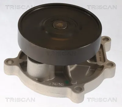 Produktbild von TRISCAN Wasserpumpe, Motorkühlung 8600 11062