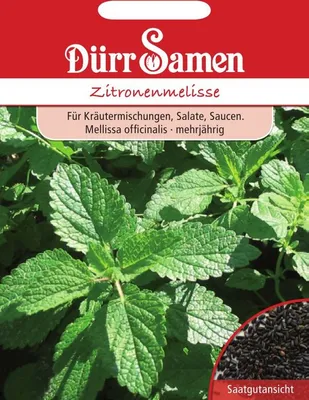 Produktbild von Dürr-Samen - Zitronenmelisse - Saatgut - 0192