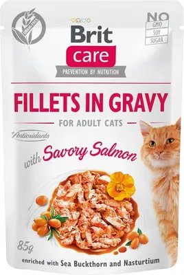 Immagine prodotto di Brit Care Cat PB Filetti in salsa - Lachs 85g
