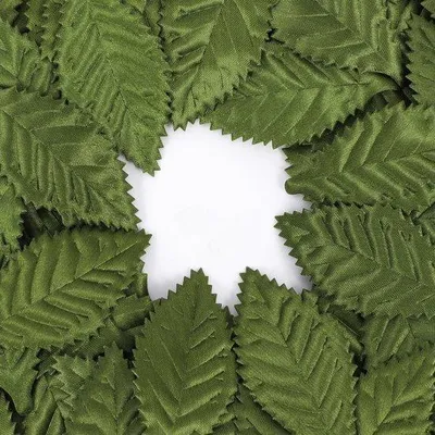 Immagine prodotto di Fogli decorativi verdi, 100 pezzi