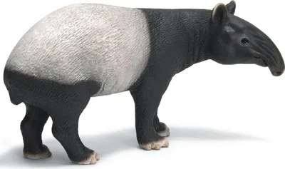 Image de Schleich 14615 - Tapir