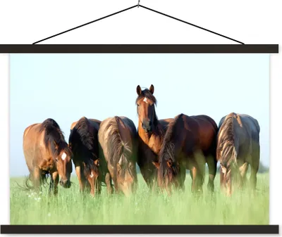 Produktbild von MuchoWow® Textilposter Pferde - Tiere - Gras - Sommer 90x60 cm mit schwarzem Rahmen - Aufhängungssatz