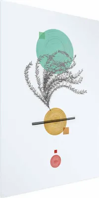 Produktbild von Posterpapier Poster - Plant Composition 40x60 cm Abstrakt n-A-0936-ao-a
