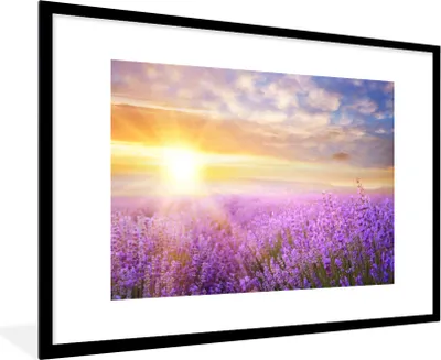 Produktbild von MuchoWow® Gerahmtes Poster Lavendel - Sonne - Himmel - Natur 90x60 cm - Poster mit Schwarzem Bilderrahmen Wandposter Rahmen Foto Bilder - Wanddekoration - Fotos