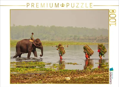 Produktbild von CALVENDO Puzzle Abendliche Heimkehr im Chitwan Nationalpark 1000 Teile Puzzle quer | 1000 Teile Lege-Größe 64x48cm Foto-Puzzle für glückliche Stunden