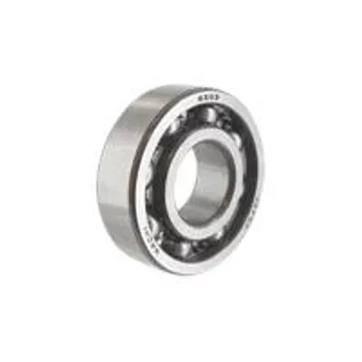 Image de Roulement à Billes Pour Moteurs Modèles 050032, 185430, 185432, 185437, 235432, 235437, 245430 Et 245432 - Origine : 710482.