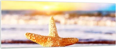 Produktbild von Bilder auf glas - Starfish Strand Sand Ozean - 140x50cm - Glasbilder - Wandbilder - Kunstdruck - zum Aufhängen bereit - Wanddekoration aus Glas - Glas Bilder - Wandbild auf Glas - GAB140x50-2815
