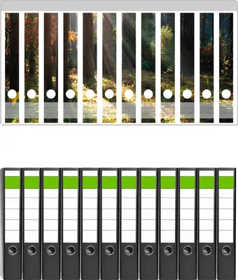 Produktbild von Wallario 12 Stück schmale Ordner inkl. Klebeetiketten mit Motive Sonnenstrahlen im Herbstwald -  Set mit Rückenschildern / Ordnerrücken Stickern
