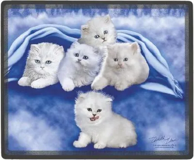 Produktbild von Mousepad Mauspad - 5 weiße Kätzchen - 22617 Gr. 24 x 20cm