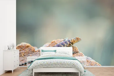 Produktbild von MuchoWow® Fototapete für Wohnzimmer oder Schlafzimmer Wandtapete Vinyl Motivtapete Das Porträt einer bunten Eidechse - 390x260 cm - Papiertapete