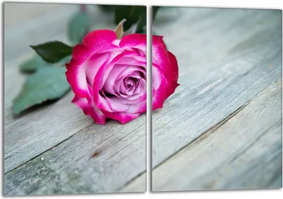 Produktbild von Glasschutzplatte für den Herd 2x40x52 Rose