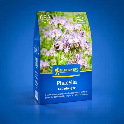 Produktbild von Kiepenkerl Gründüngung Phacelia für 100 m² 0,4 kg