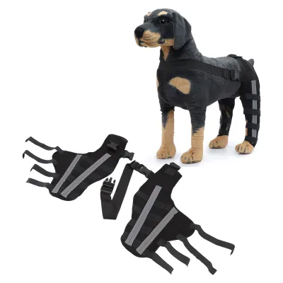 A stuffed dog wearing a black and gray orthopedic brace on its hind legs, with two similar braces laid out in the foreground.