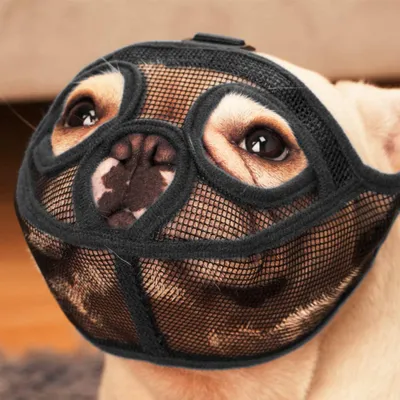 Produktbild von Mmgoqqt Maulkorb Netzgewebe, schwarz, S, verstellbar, verhindert Beißen, Bellen, Kauen, kurze Schnauze, Bulldogge, Zungenfreiheit, hautfreundlich