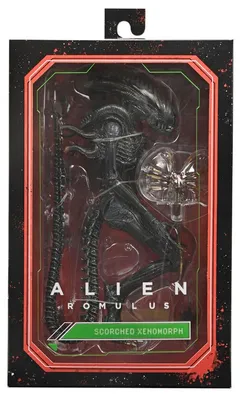 Obrázok produktu pre Figúrka Alien Romulus Scorched Xenomorph, 23 cm