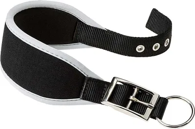 Obrázok produktu pre obojok pre psov Ergocomfort 32 až 39 cm čierny/sivý