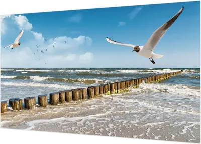 Produktbild von Wandtapete - Dekorative Tapete für Wohnzimmer  - Tapetenfolie für Wanddekoration - 416x254 - Küstenlandschaft