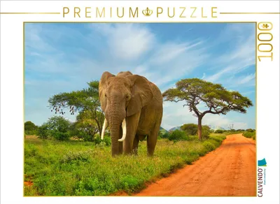 Produktbild von CALVENDO Puzzle Elefant am Wegrand | 1000 Teile Lege-Größe 64x48cm Foto-Puzzle für glückliche Stunden
