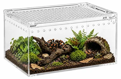 Imagen del producto de Mini terrario de acrílico, con vista panorámica de 360°, tamaño pequeño, para reptiles