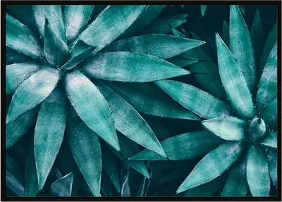 Obrázek produktu pro Obrazový plakát v rámu 53x73 cm listy P1118