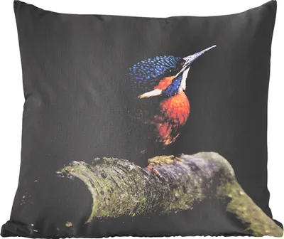 Produktbild von MuchoWow® Zierkissen Sofakissen Wohnzimmer Dekokissen 50x50 cm Eisvogel - Federn - Vogel - Komfort - Sofakissen