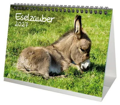 Produktbild von Eselzauber DIN A5 Tischkalender für 2027 Esel - Seelenzauber