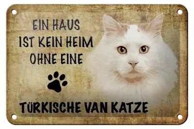 Produktbild von Blechschild Spruch 18x12cm türkische Van Katze ohne kein Heim