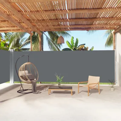 Image de Maison Exclusive - Store latéral extensible anthracite 200 x 1 000 cm