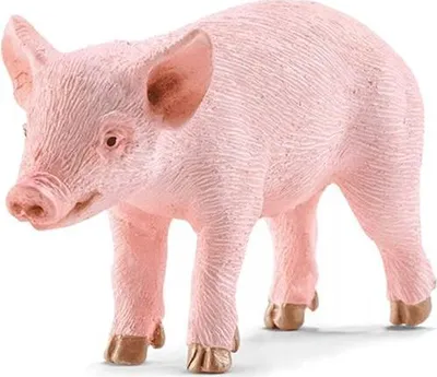 Obrázek produktu pro Schleich 17062 figurka selátka