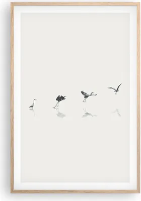 Produktbild von Gerahmtes Poster - Rahmen in heller Eiche - Flug Vogel Reiher - 61x91,5 cm - Wand Bild - Wanddeko - Wandbilder - Kunstposter - Wandposter - Bilderrahmen - Bilder - Kunstdruck - P2NPA61x91-5096