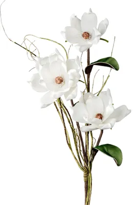Produktbild von Kunstblume Magnolie formano