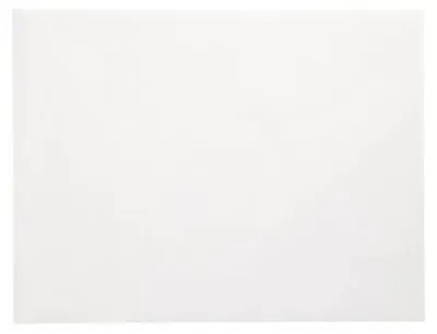 Produktbild von Tischsets, Papier 30 cm x 40 cm weiss , 4 x 250 Stück