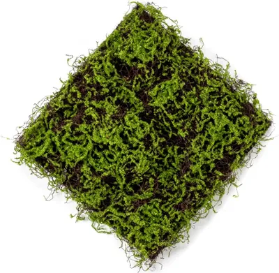 Produktbild von artplants.de Moosmatte künstlich MIRANDILA, grün, 50x50cm - Wanddeko Moos/Kunstmoos