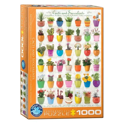Produktbild von EUROGRAPHICS Puzzle Kakteen und Sukkulenten 1000 Teile