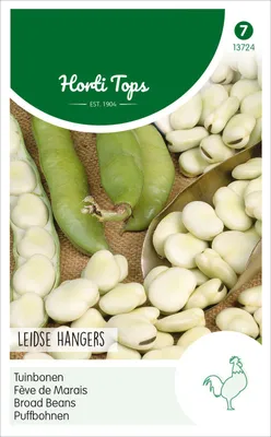 Image de Fèves « Leidse Schwarzkeimige » (250 g) | Graines de fèves de Hortitops