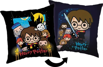 Obrázok produktu pre JERRY FABRICS Vankúš Harry Potter Friends Polyester, 40/40 cm