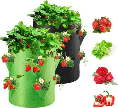 Produktbild von Famanu Kwecktaschen für Erdbeeren, 2 Stück, 40 l, Vliesstoff, Pflanztasche mit Fenster