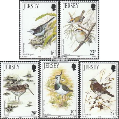 Produktbild von Briefmarken GB - Jersey 1992 Mi 563-567 (kompl.Ausg.) postfrisch Vögel