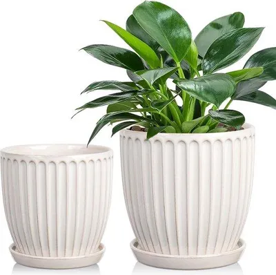 Zdjęcie produktu dla Pojemnik na rośliny - Pojemnik na rośliny Białe doniczki ceramiczne 13 cm 15 cm z otworami drenażowymi - Nowoczesne doniczki na sukulenty, kaktusy, storczyki