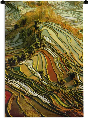 Produktbild von MuchoWow® Wandteppich Wandbehang Schöne Farbpalette von Reisfeldern in China 60x90 cm Tapisserie Dekoration Wandtuch - Foto-Teppich - Abwaschbar