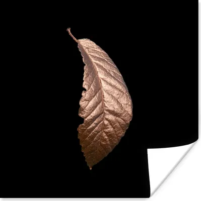 Produktbild von MuchoWow® Poster Gold - Blatt - Rosa 100x100 cm - Babyzimmer