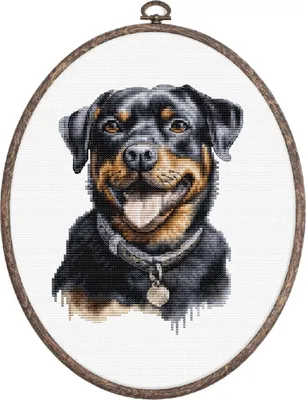 Produktbild von Luca-S Kreuzstich Stickpackung mit Stickrahmen "Rottweiler", Zählmuster, 13x17cm