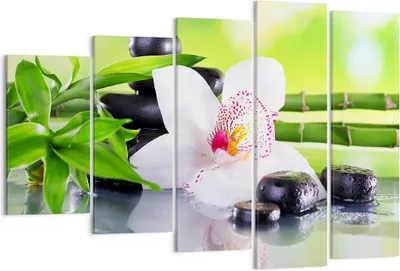 Produktbild von Bild auf Leinwand - Leinwandbild - blume orchidee - 150x100cm - Wand Bild - Wanddeko - Wandbilder - Leinwanddruck - Bilder - Kunstdruck - Wanddekoration - Leinwand bilder - Wandkunst - EG150x100-3659